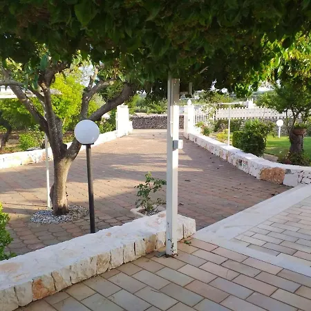 Charming House In + Garden *